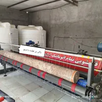 نیروی جوان برای قالیشویی
