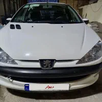 ۲۰۶ تیپ ۲ استثنایی