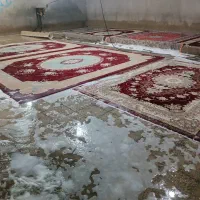 به چند نفر نیرو کار آقا  نیازمند در قالیشویی هستیم