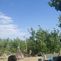 خانه باغ در سردسیر