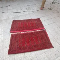 یک جفت پشتی جلگران کرک