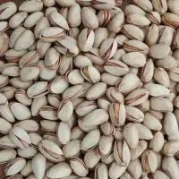 پسته‌ دامغان احمدآقایی و اکبری انس۲۴