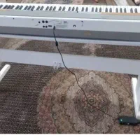 پیانو دیجیتال قیمت مناسب|پیانو، کیبورد، آکاردئون|شیراز, دست خضر|دیوار