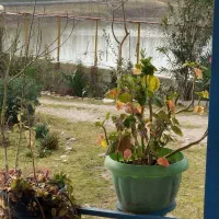 باغ ویلا 1400متری فروشی 3کیلومتری ماسال