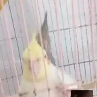 ۸۰۰،۰۰۰ تومان