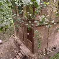 ویلای جنگلی با شرایط پرداخت منعطف|فروش خانه و ویلا|ماهدشت, |دیوار