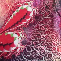 پارچه نخی نگین کوب