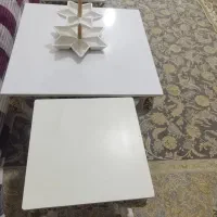 میز مبل و دو عدد گل میز