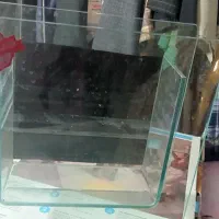 تنگ فایتر|لوازم جانبی حیوانات|تهران, شارق|دیوار