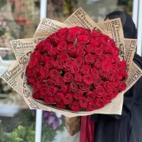 شاخه گل رز هلندی