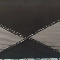 پشتک سالم