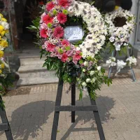 گلفروشی طبیعی. مصنوعی .اپارتمانی|گل و گیاه طبیعی|رودسر, |دیوار