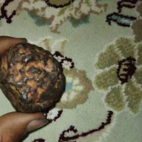 سلام شهاب سنگ دارم