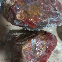 دو عدد سنگ های قیمتی جاسپر وشجر پاییزه قیمت مناسب