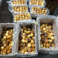 خرما زرد عسلی هلیله (بزمانی)|خوردنی و آشامیدنی|کرمان, |دیوار