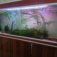 فروش اکواریوم بزرگ شرکتی