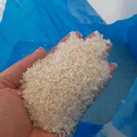 فروش برنج نیم دانه عنبربو خوش پخت