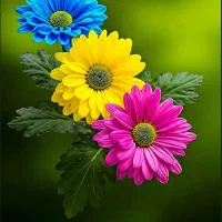 تعدادی لوازم منزل نو