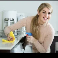 نیروی کار برای خدمات منزل