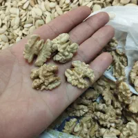 گردو ایرانی|عمدهفروشی|ابهر, |دیوار