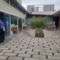 تعدادی پیک موتوری وآشپز خانم مسلط به غذا ها خانگی