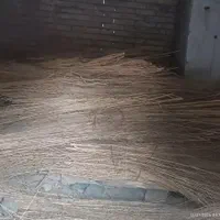 جارو شهرداری