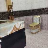 خدمات تخصصی نظافت و شستشو|خدمات نظافت|شیراز, قصرالدشت|دیوار