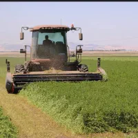 برسین و رنجر انواع بذر قره یونجه و شبدر|گل و گیاه طبیعی|اصفهان, نقش جهان|دیوار