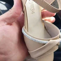 کفش مجلسی|کیف، کفش، کمربند|گنبد کاووس, |دیوار