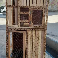 لانه کبوتر و لانه مرغ وسایر حیوانات خانگی