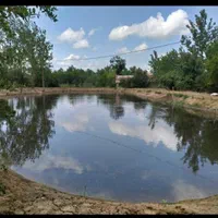 سرمایه گذار برای بوم گردی زمین ازمن