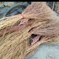 جارو|لوازم نظافت|اسدآباد, |دیوار