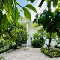 ویلا-باغچه-مشجر-سند6دانگ-انشعابات3کنتور-جاده-دریا