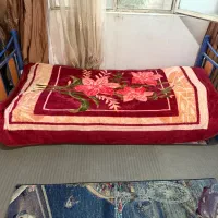 تخت فلزی|تخت و سرویس خواب|کرج, شهرک اوج|دیوار