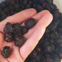 کشمش پلویی برگه زردالو کیلاس خشک الوچه|خوردنی و آشامیدنی|مشهد, توس (بلوار توس)|دیوار