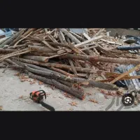 چوب|خدمات باغبانی و درختکاری|مشگین شهر, |دیوار