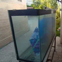 اکواریوم بزرگ باتجهیزات کامل