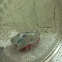 سینی مجمعه نونو