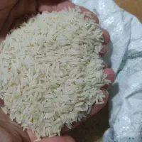 برنج هاشمی گیلان