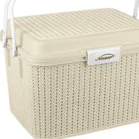 سبد مسافرتی جا مانده در سواری شخصی