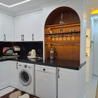 استخدام نیروی رنگ کار