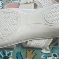 دمپایی|کیف، کفش، کمربند|قم, شهر قائم|دیوار