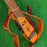 گیتار سایلنت یاماها و نوا گیتار گودین و طرح گودین|گیتار، بیس، امپلیفایر|کرج, باغ سیب|دیوار