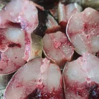 بانوی جنوب|حراج|قم, بنیاد|دیوار