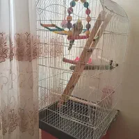 فروش قفس پرنده