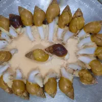 حلزون درمانی کلاژن ساز