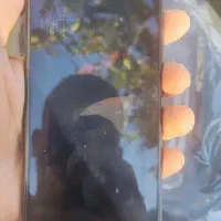 Poco X3 pro|موبایل|مشهد, ولیعصر (شهرک غرب)|دیوار