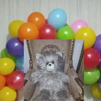 27عدد بادکنک تولد وعروسک