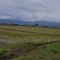 زمین-مزروعی-14هزار-متری-سنتی