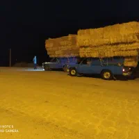 کاه گندم و جو امساله تحویل فوری